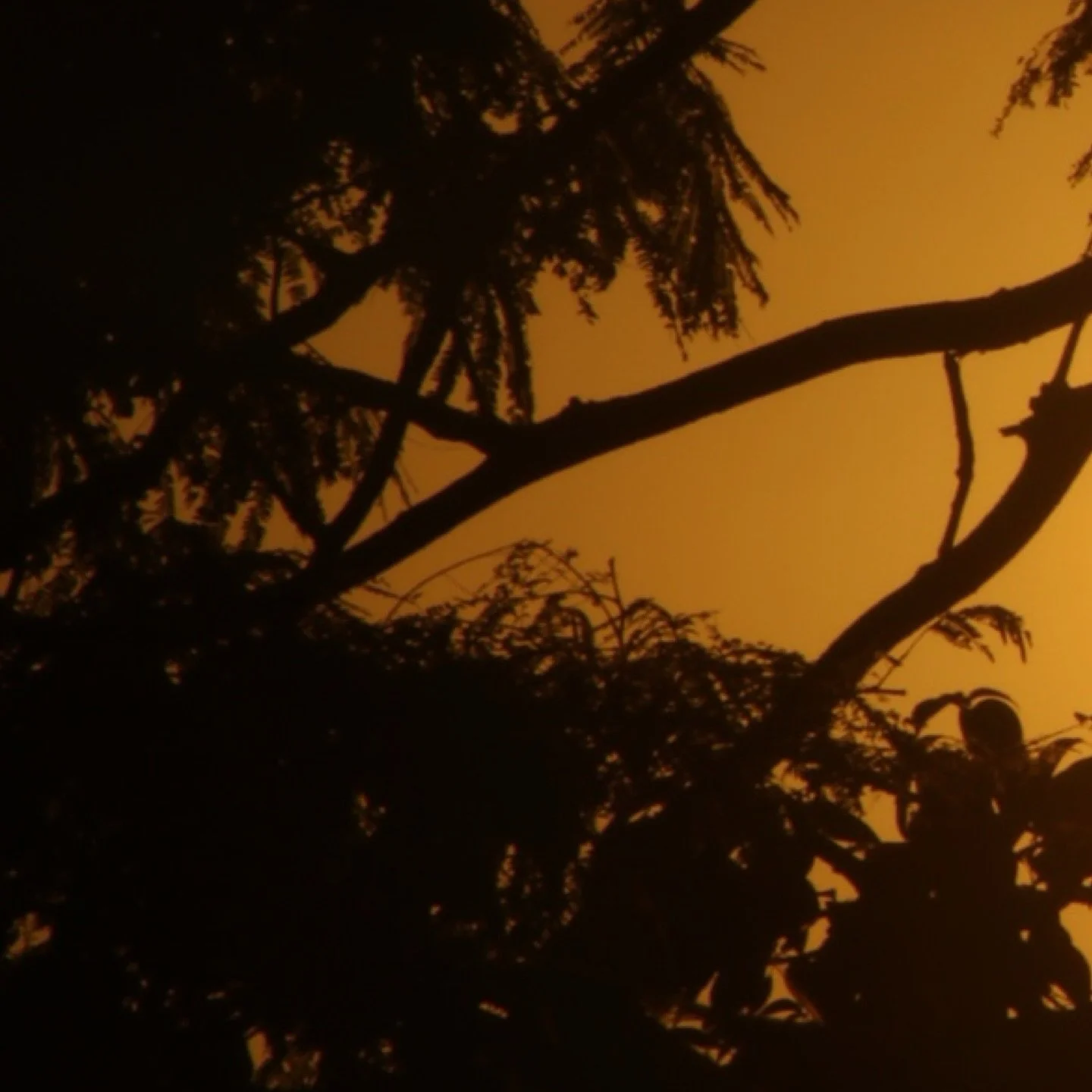 Origen.

En el inicio, una danza c&oacute;smica. 
Destellos de un sol luminoso despiertan la vida.
La historia de la tierra comienza aqu&iacute;.

Amakura nace de un juego de palabras que combina &ldquo;ama&rdquo; de (amar) &ldquo;Ku&rdquo; o &ldquo;