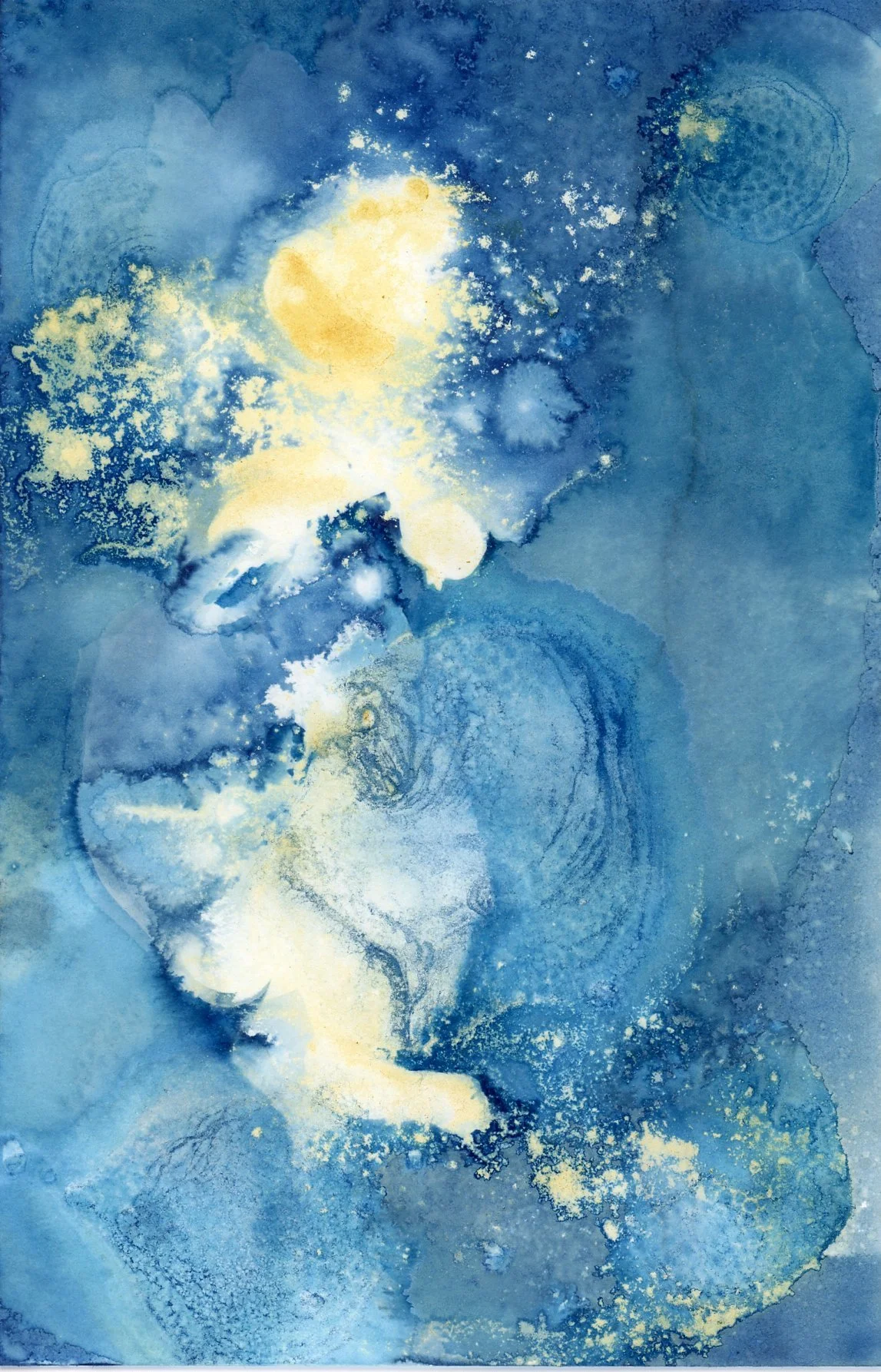 Wet Cyanotype 2025.10.050006.jpg