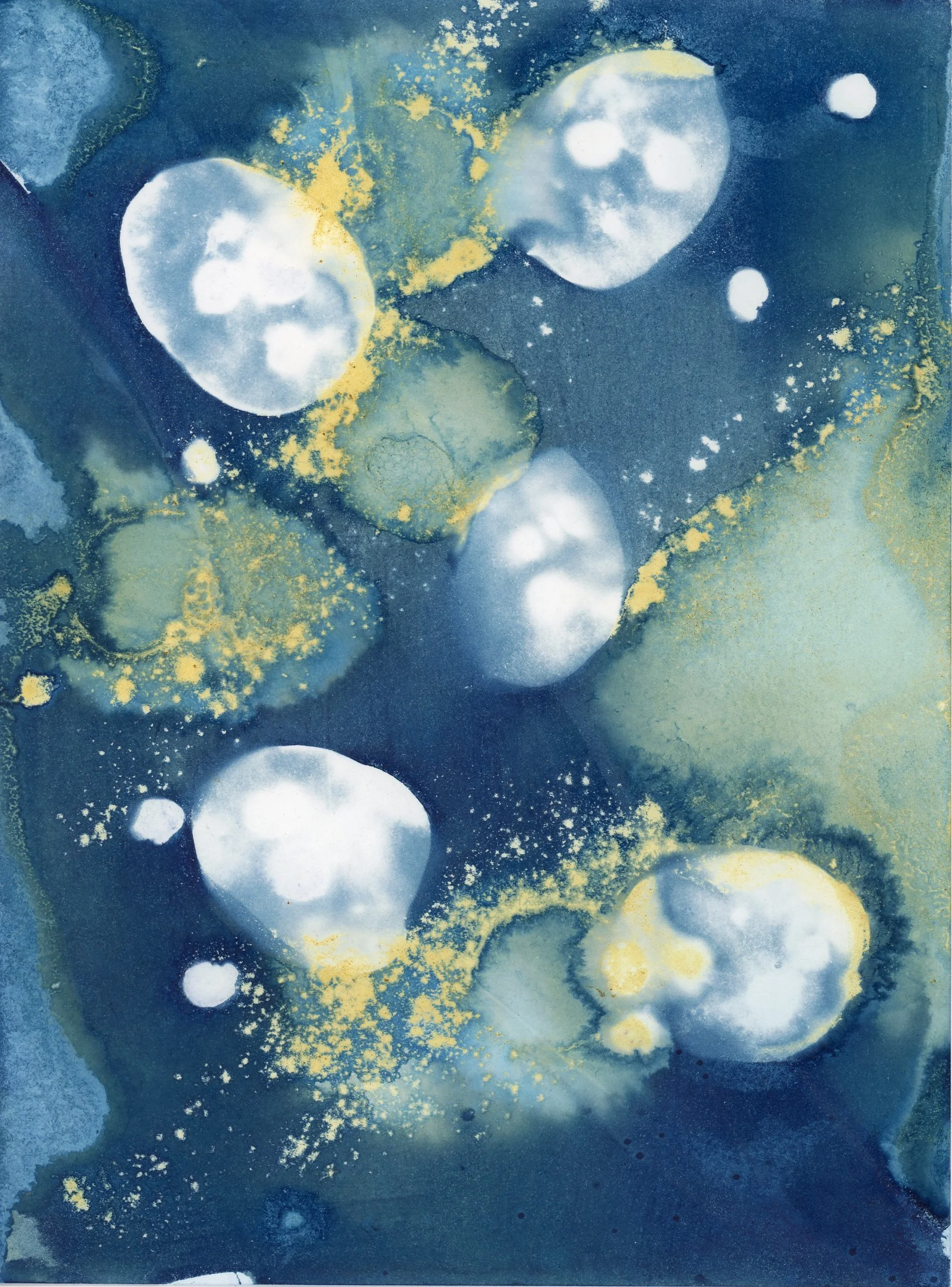 Wet Cyanotype 2025.10.050001.jpg