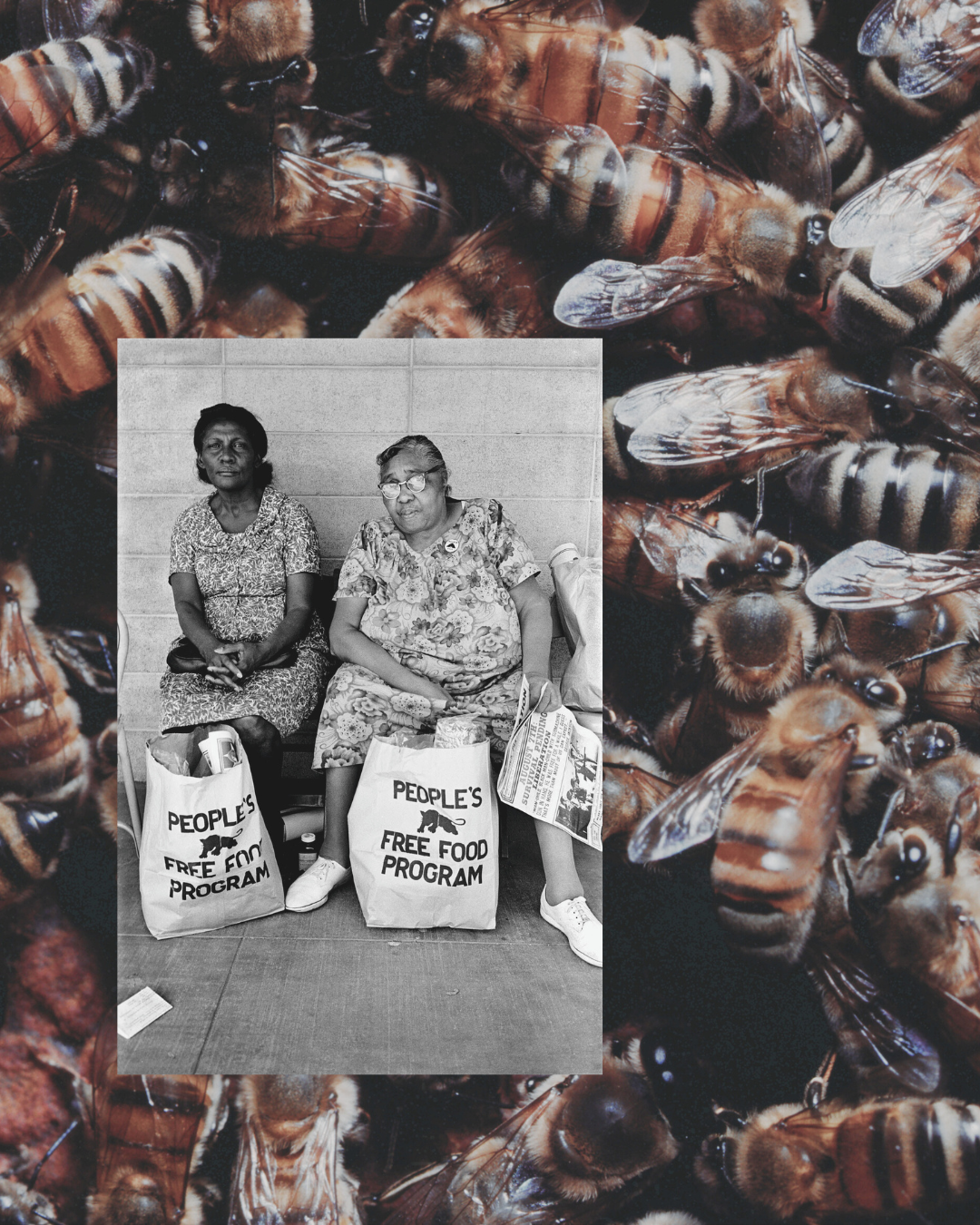 Blerd Clerb: Biomimicry as Resistance, Part 3