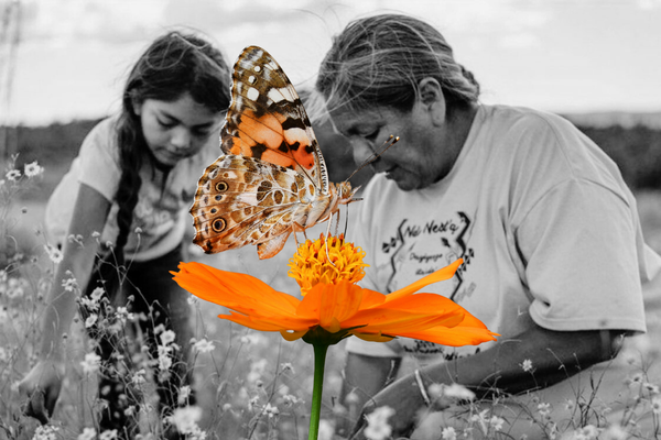 Blerd Clerb: Biomimimcry as Resistance, Part 4