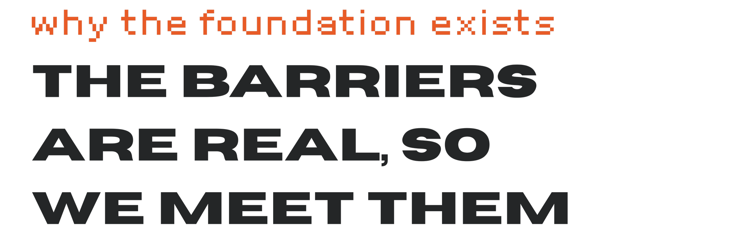 WHY THE FOUNDATION EXISTS: the barriers are real, so we meet them