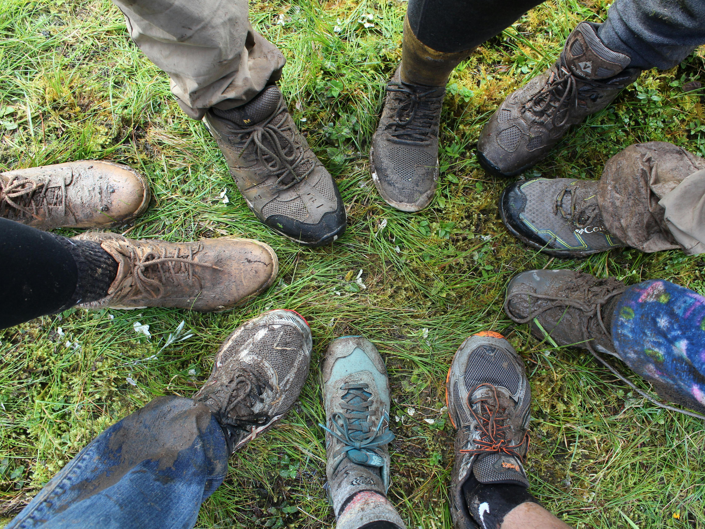 Team participating in guided outdoor wellness hike in Cincinnati