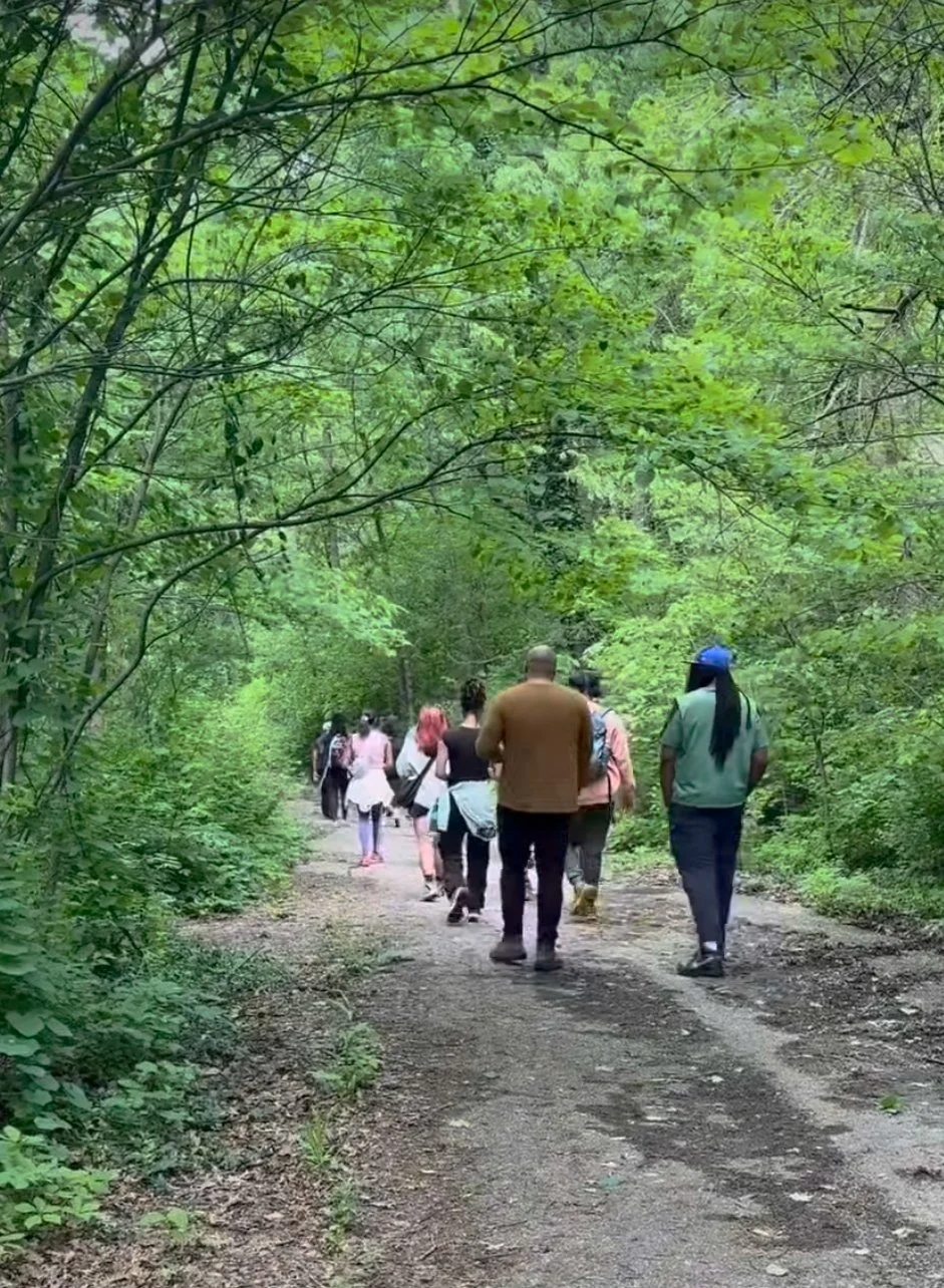 Group of people walking on a dirt trail through a lush, green forest.