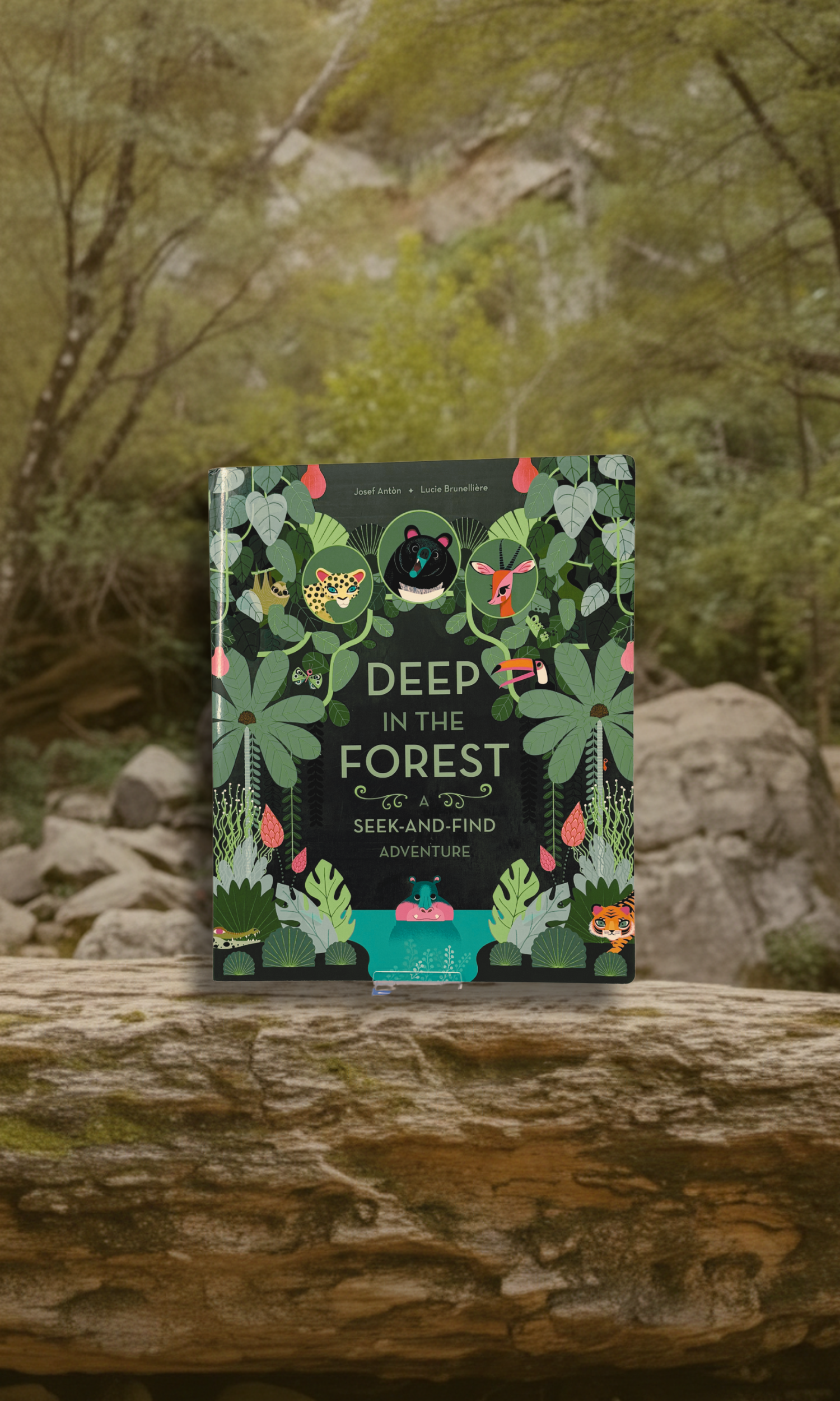 Deep in the Forest: A Seek-and-Find Adventure