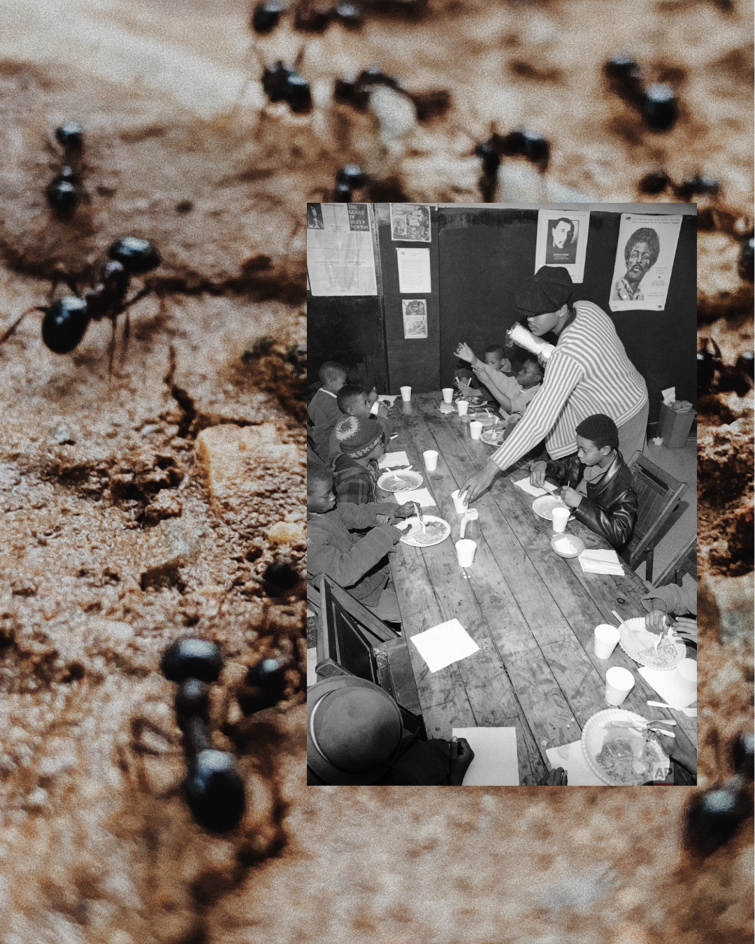 Blerd Clerb: Biomimicry as Resistance, Part 2