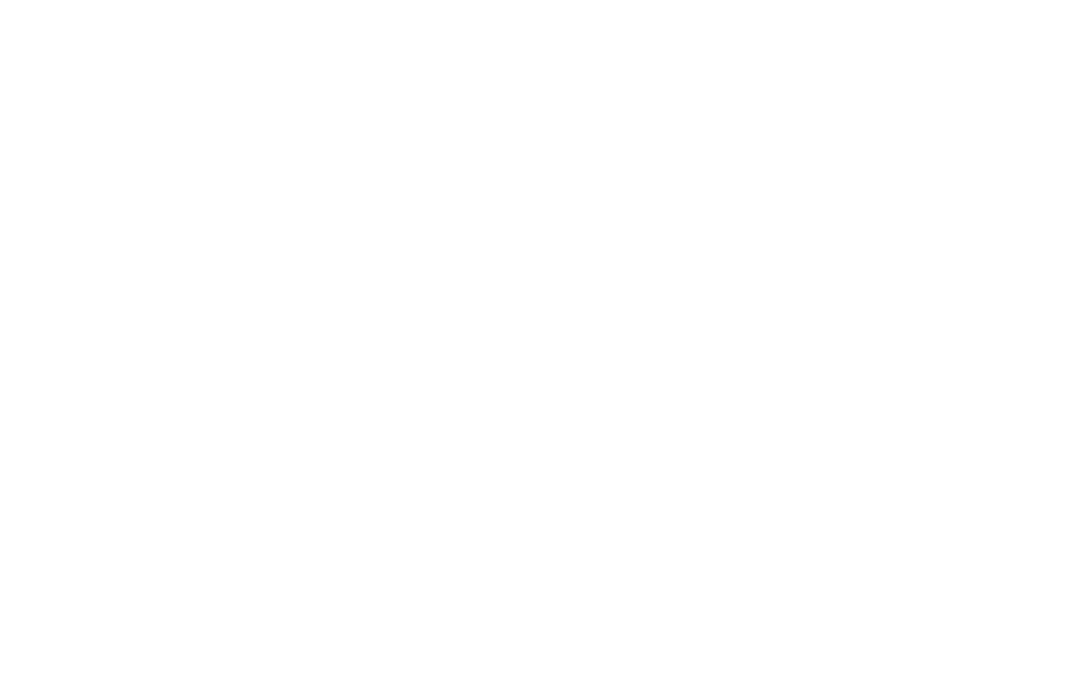 First Form logo