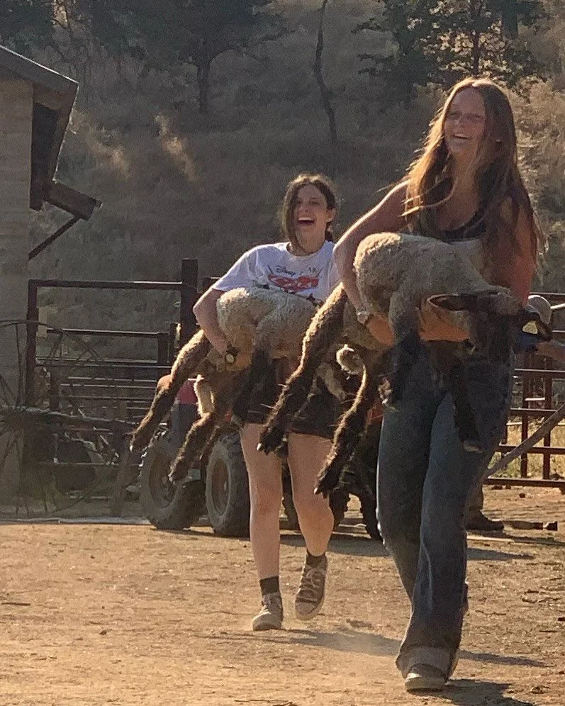 Some highlights from life on the ranch so far this summer. Runaway lambs, sweet talking kittens and some of the sweet animals of the world (stay &lsquo;til the end for the baby chicks!)

Building a life outside the box has led us to spend our summers