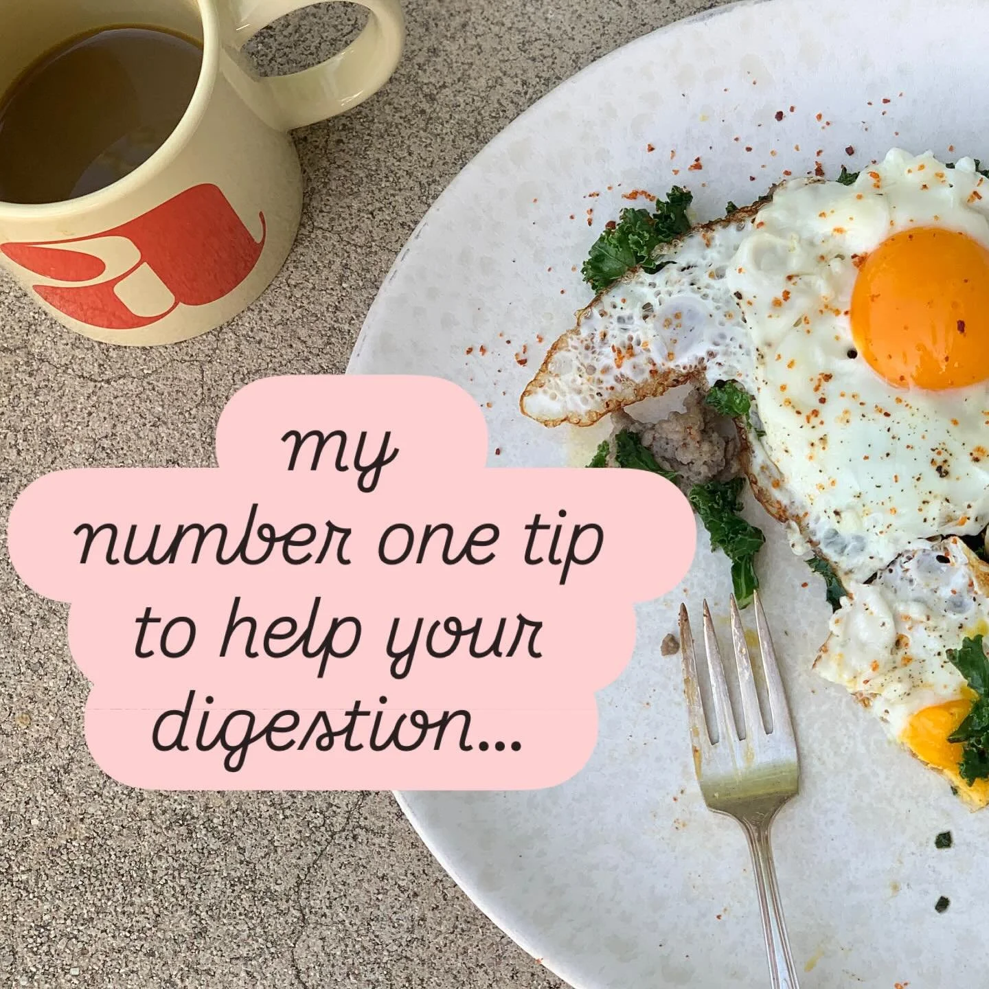 put your fork down between bites. 

this allows more time to focus on getting adequate (20ish) chews per bite. 

when you chew well:
&bull;food mixes with digestive enzymes in saliva to begin the digestive process
&bull;surface area increases, allowi