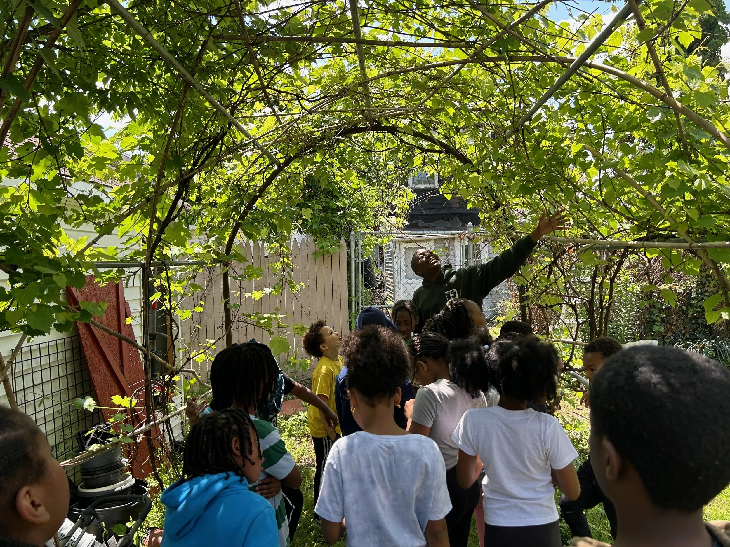 Group of children listening to a man giving a presentation or tour in a backyard garden with a tree overhead.