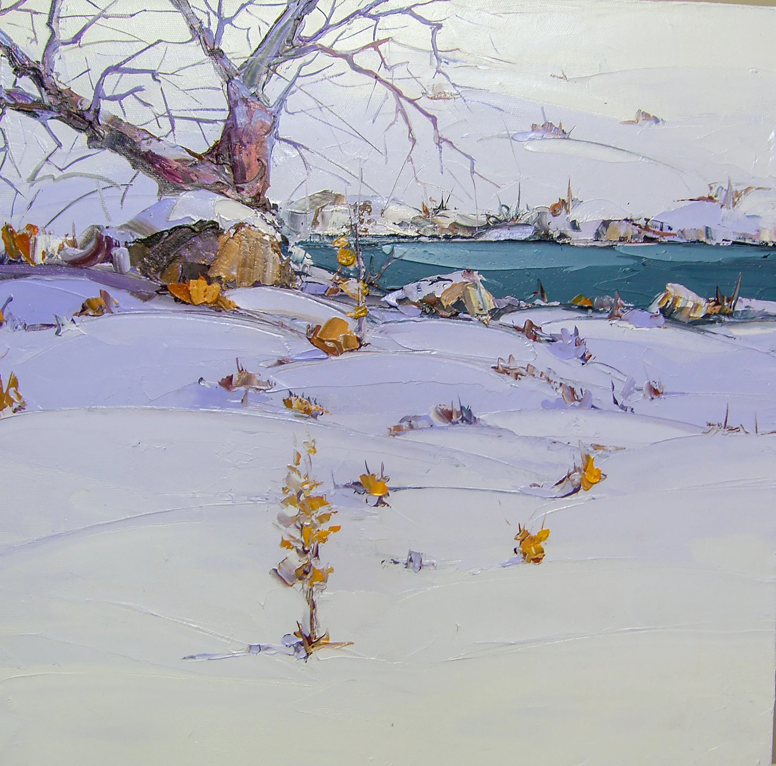 Saim Dursun estate 8-1b  60x60.jpg