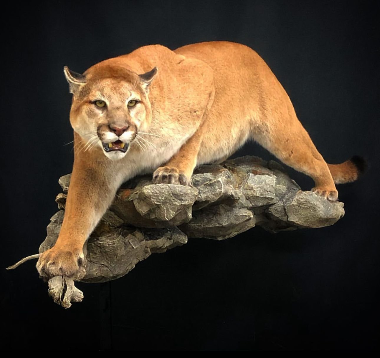 Price Example 1.jpeg