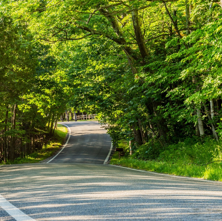 Explore the Traverse City Area Like a Future Local