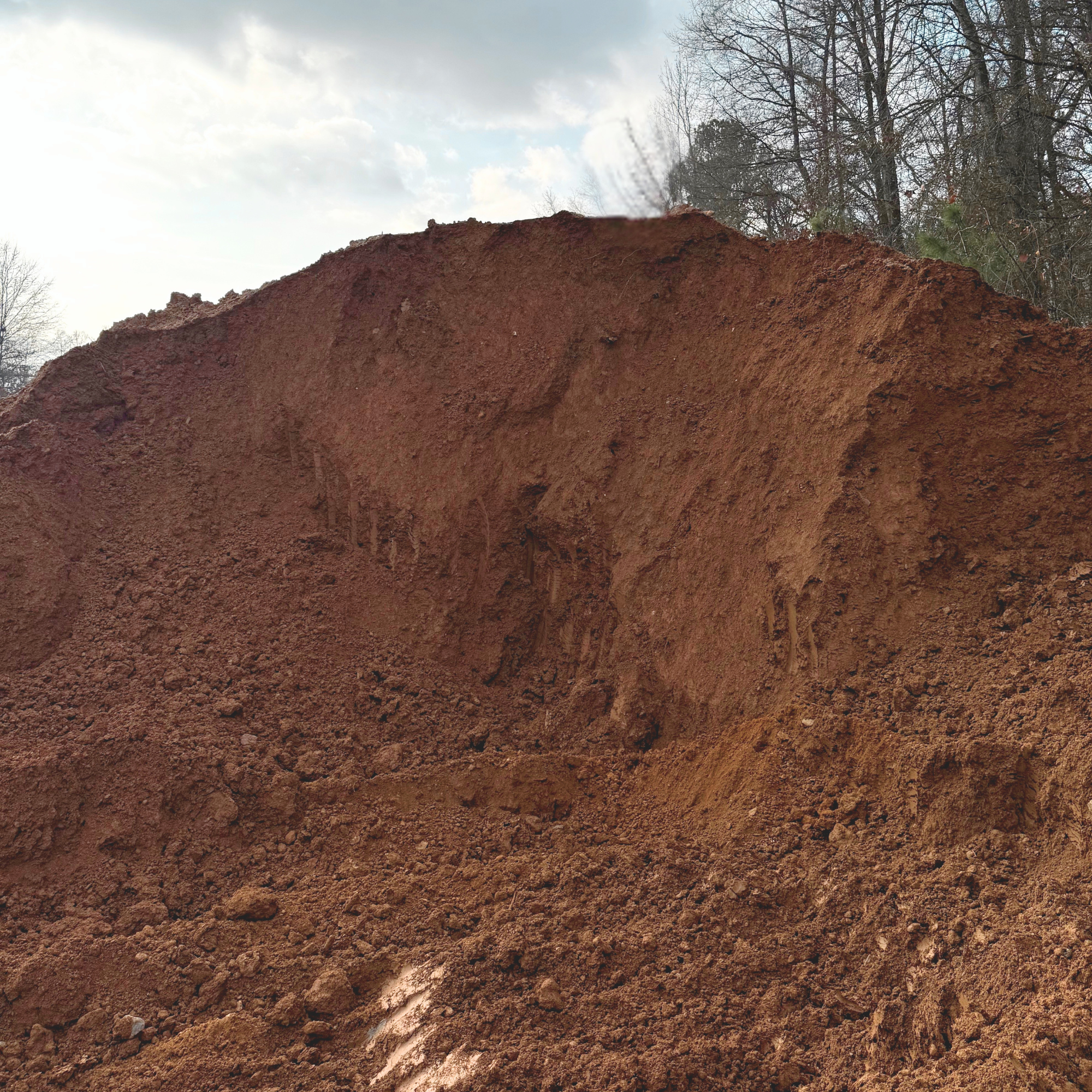 Close-up of a large soil mound with trees and a cloudy sky in the background.