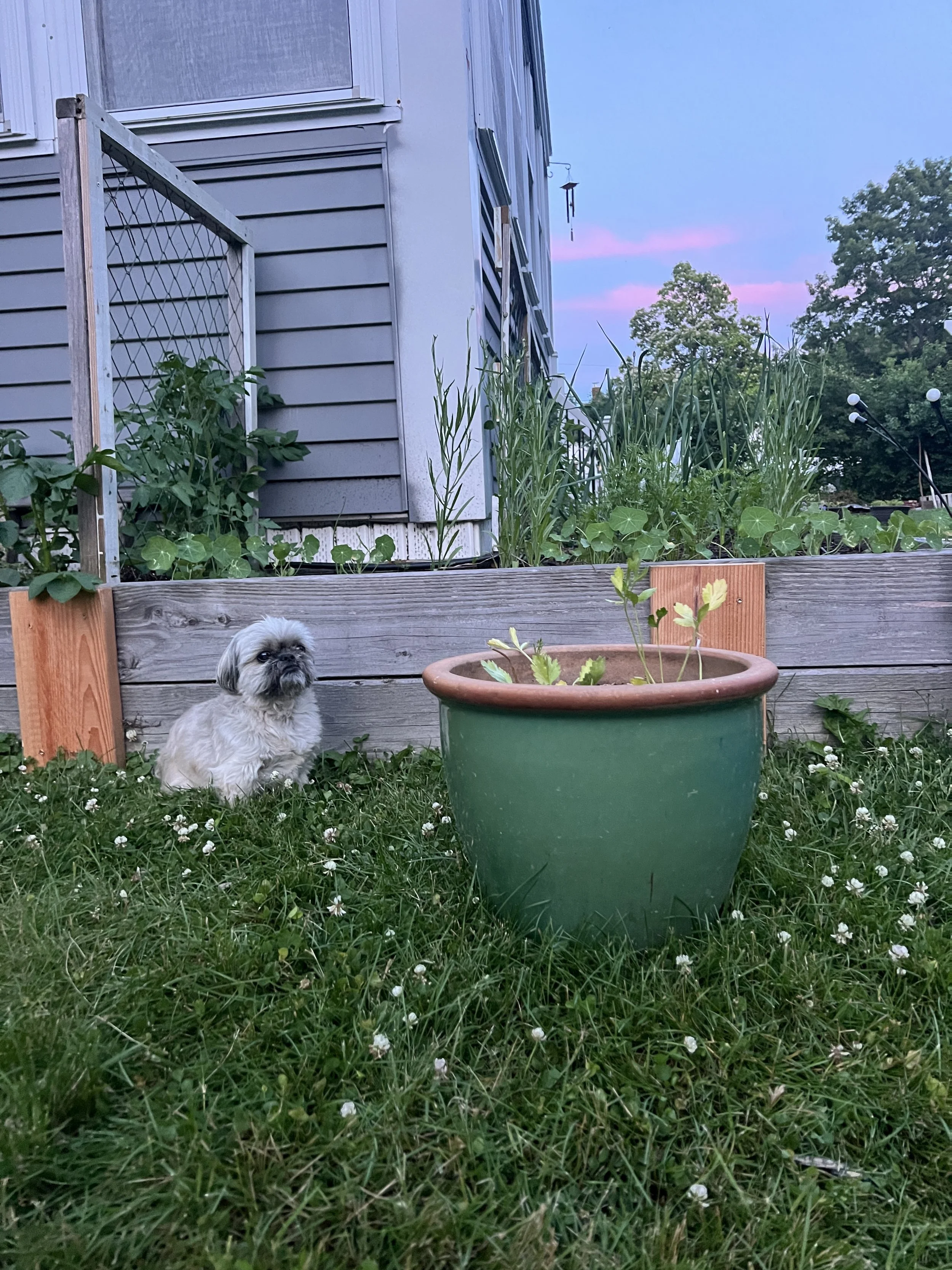 I’m doubting the seeds I’ve planted again