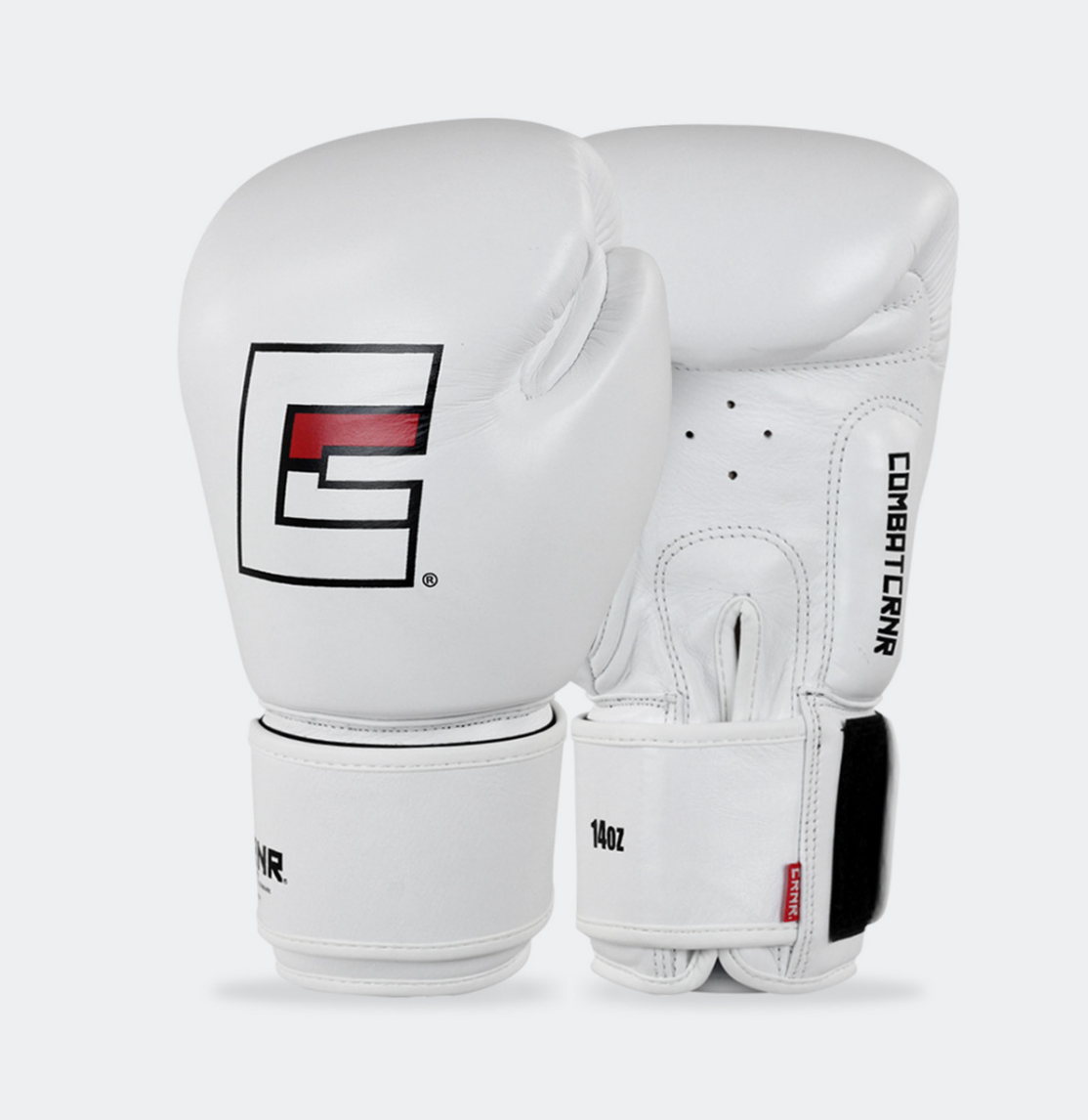 Screen Shot 2026-01-11 at 11.03.19 AM.png