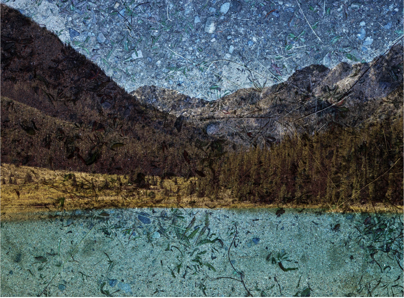 Booth Talk: <span class="sqsrte-text-color--accent">Jackson Fine Art with Artist Abelardo Morel</span>