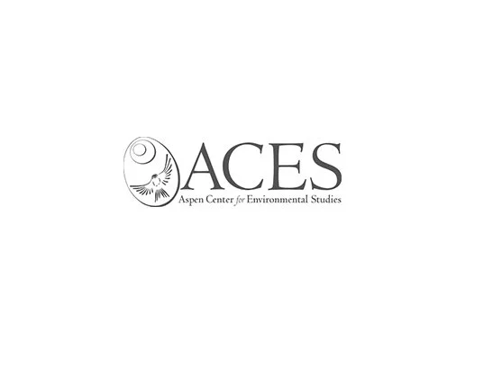 aces-logo-web.jpg