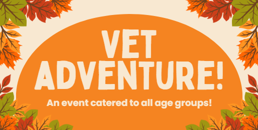Vet Adventure Day!