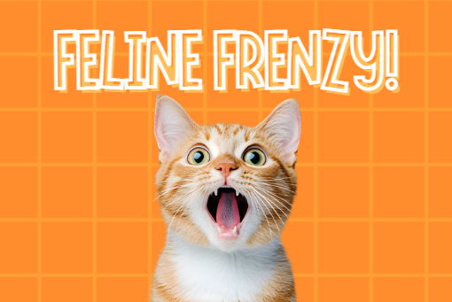 Feline Frenzy