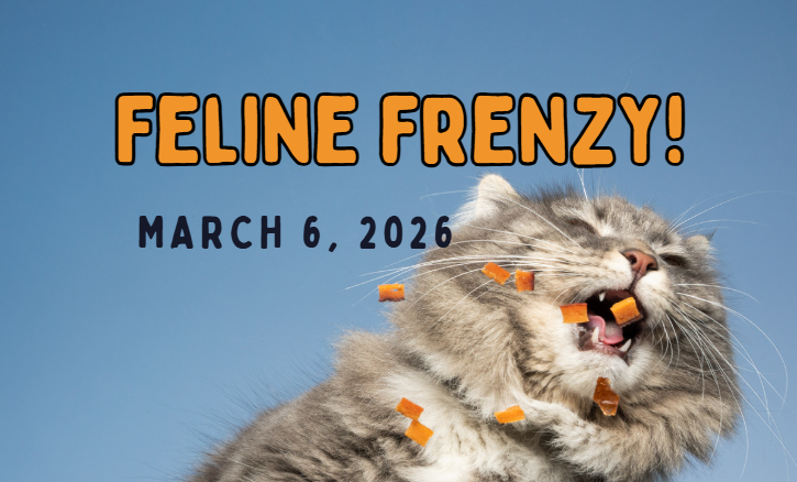 Feline Frenzy!