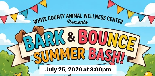 Bark & Bounce Summer Bash!