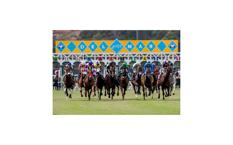 Del Mar Races