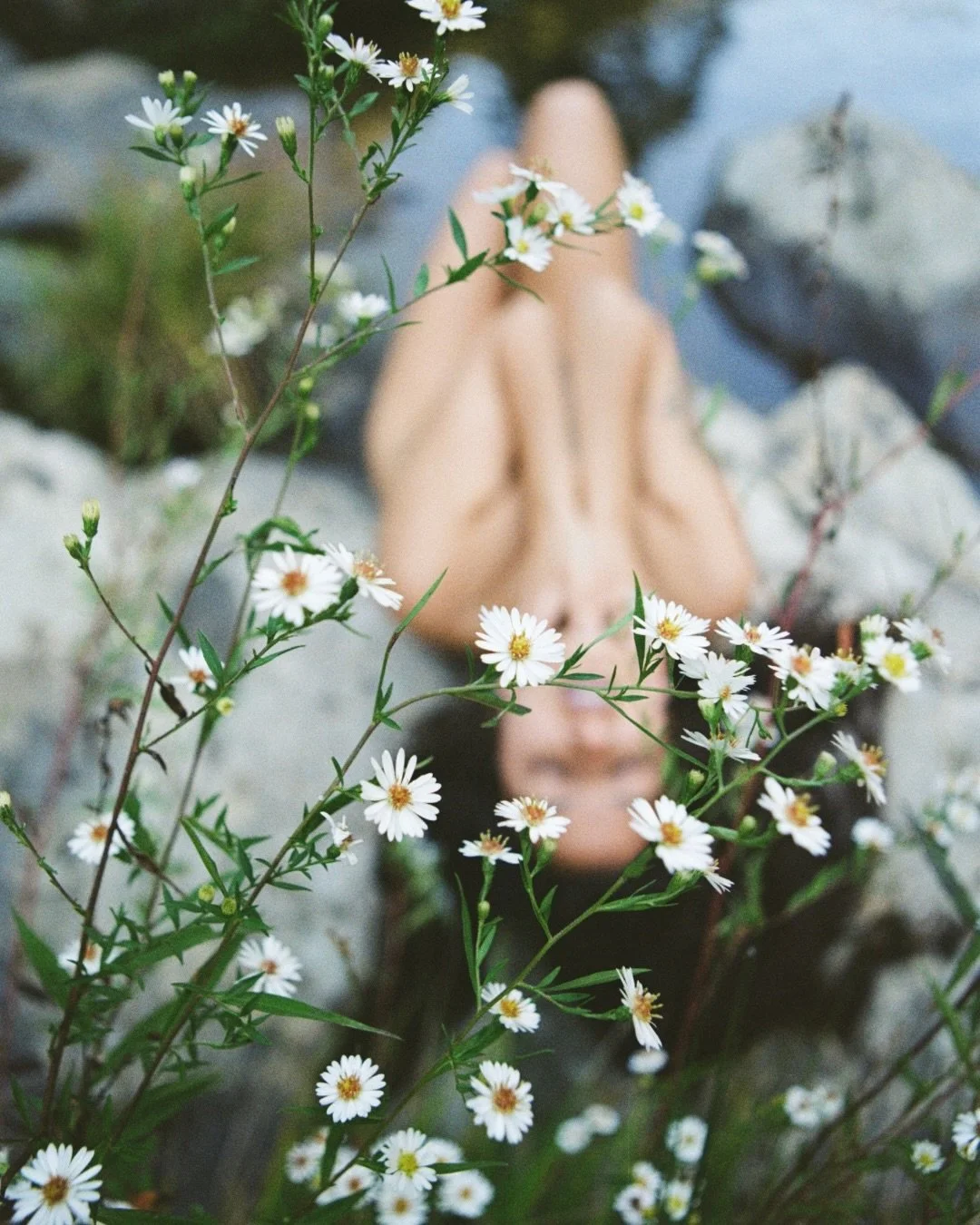 We all long for vulnerability.
The relaxed kind. 

Hidden in the places where we can let our shoulders drop&hellip; where the breath can finally leaves the body&hellip; where the mask melts right off your face.

People long to come undone a little.
T