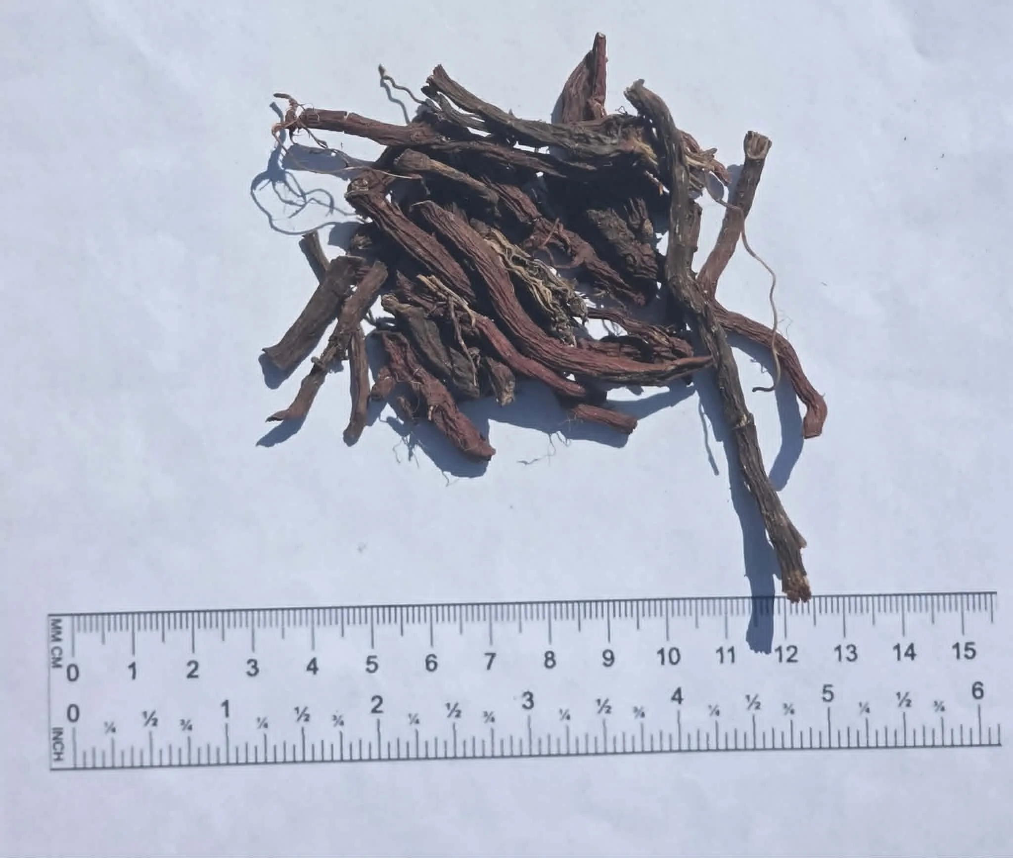 Organic Dried Salvia miltiorrhiza Root, Dan Shen, Red Sage, 4th year growth Grade B