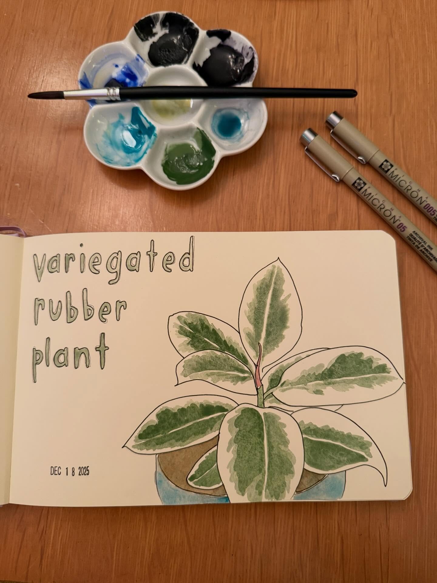Variegated
-
Sat down to write during my &ldquo;creativity hour&rdquo; and decided to paint instead. I&rsquo;m learning to listen to my inner voice. This was nice.
-
#watercolor #plant #dailydiary #variegated