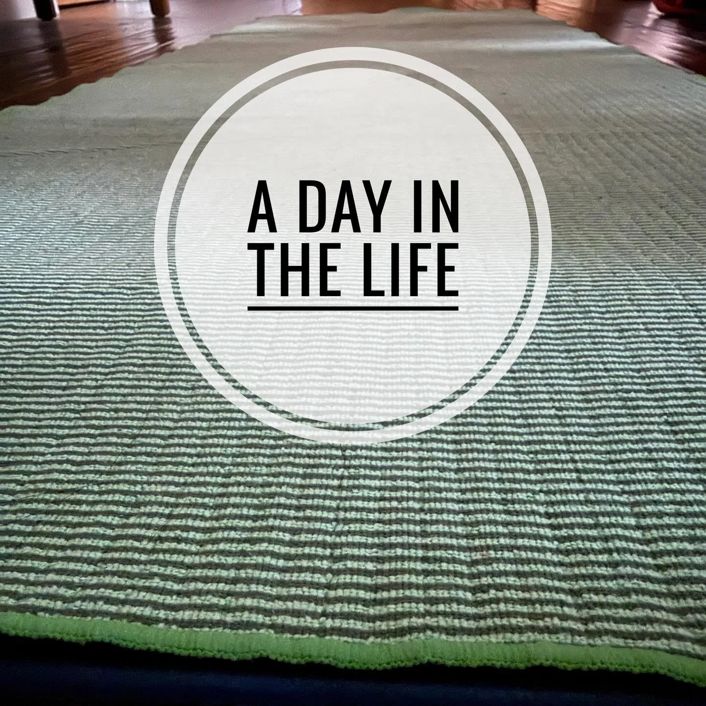 A day in the life&hellip;
&hellip;of staycation while the rest of my family are at work and school. Today&rsquo;s my last day of solo-vacation-staycation. I have so much I want to do, but instead I&rsquo;m in bed posting this instead of napping.
-
Ex