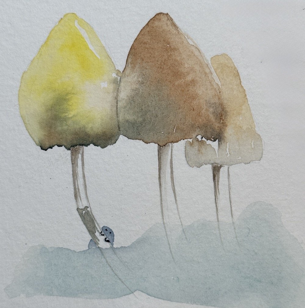 mushrooms