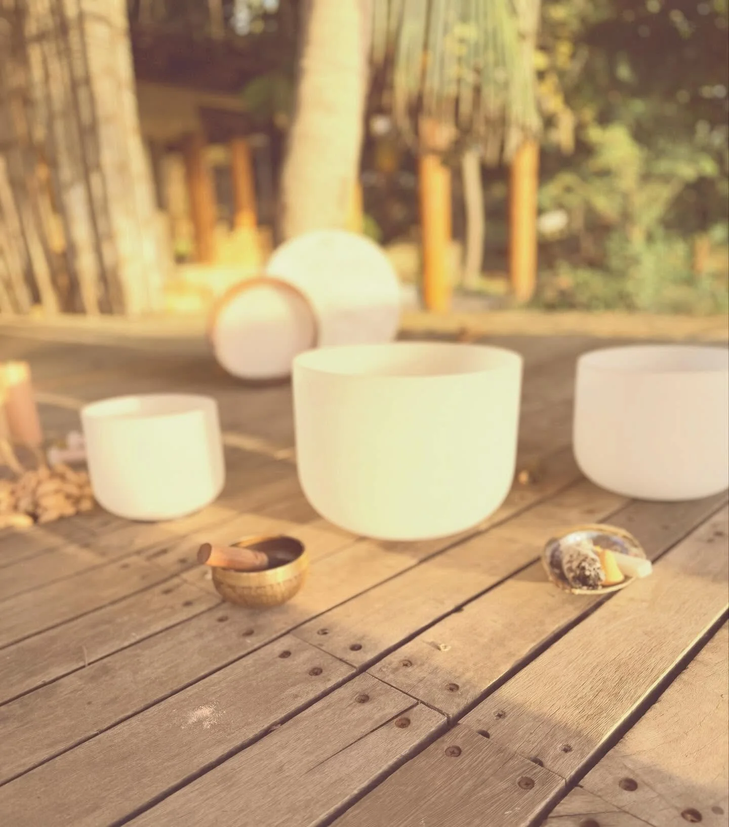 My heart couldn&rsquo;t ask for a more beautiful experience. Deep in a personal season of surrender and flow I am so grateful to have gotten the opportunity to share sound healing, Reiki, and breathwork alongside Mama Ocean with the beautiful souls a