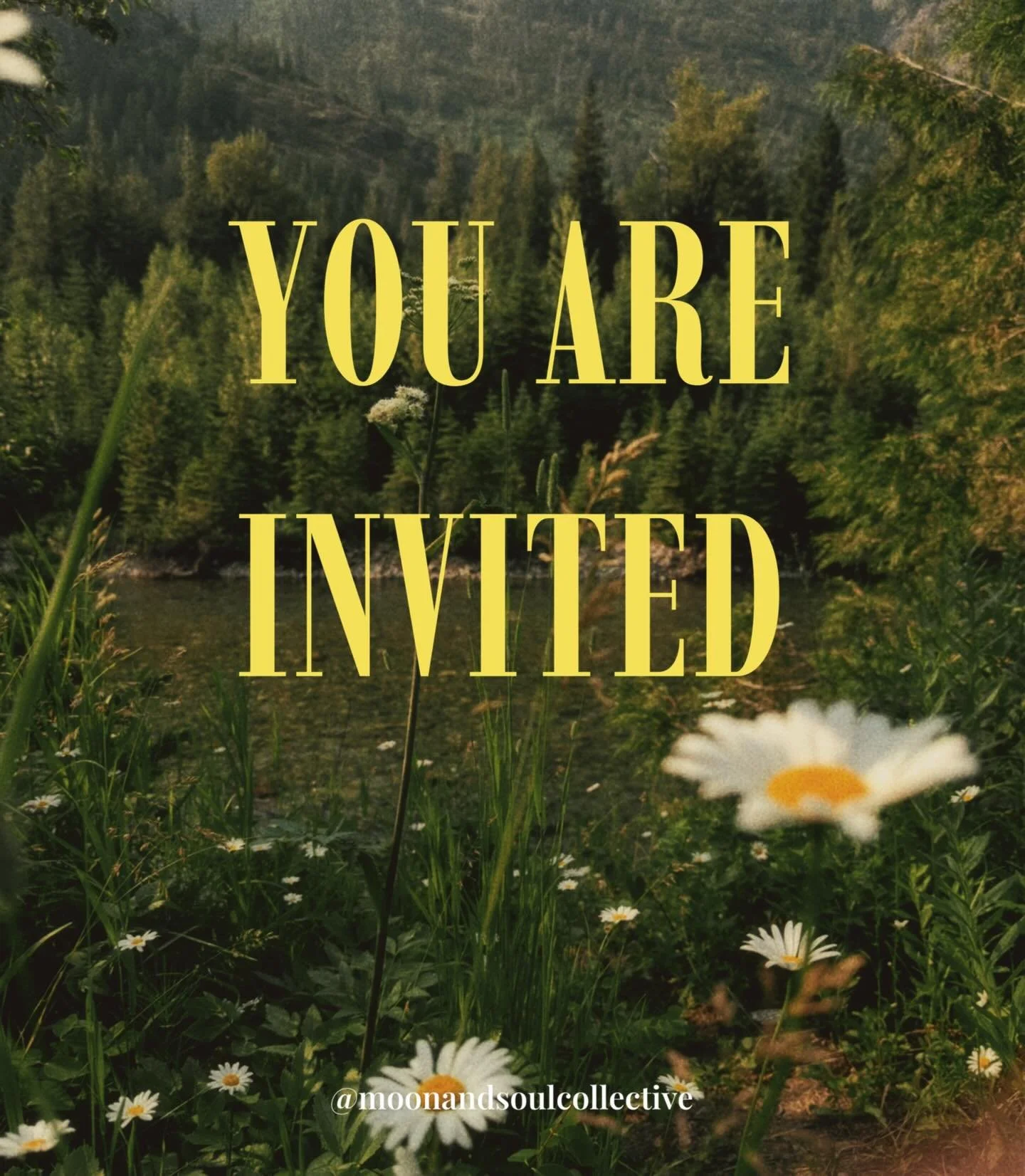 You are officially invited to join the Moon and Soul Collective community 🌙
I&rsquo;m so excited to share that the re-WILD Montana retreat is now open for booking! I can&rsquo;t wait to experience this magic together! 

If you feel called to a week 