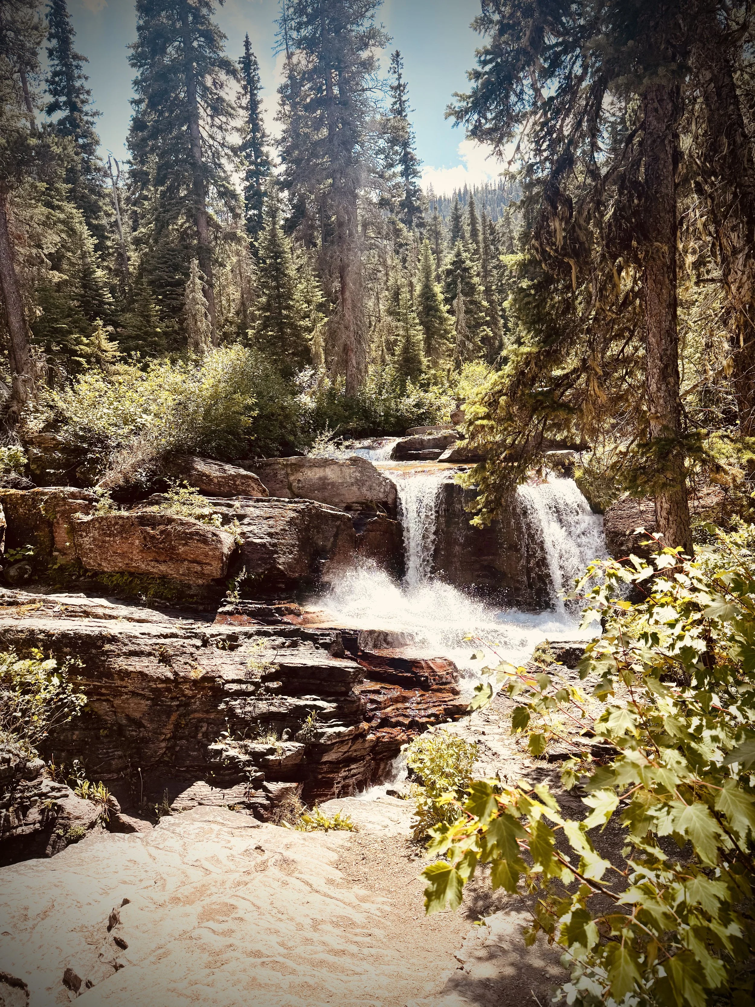 A scenic forest with tall pine trees, a small waterfall flowing over rocks, and green foliage in a mountainous area under a partly cloudy sky.