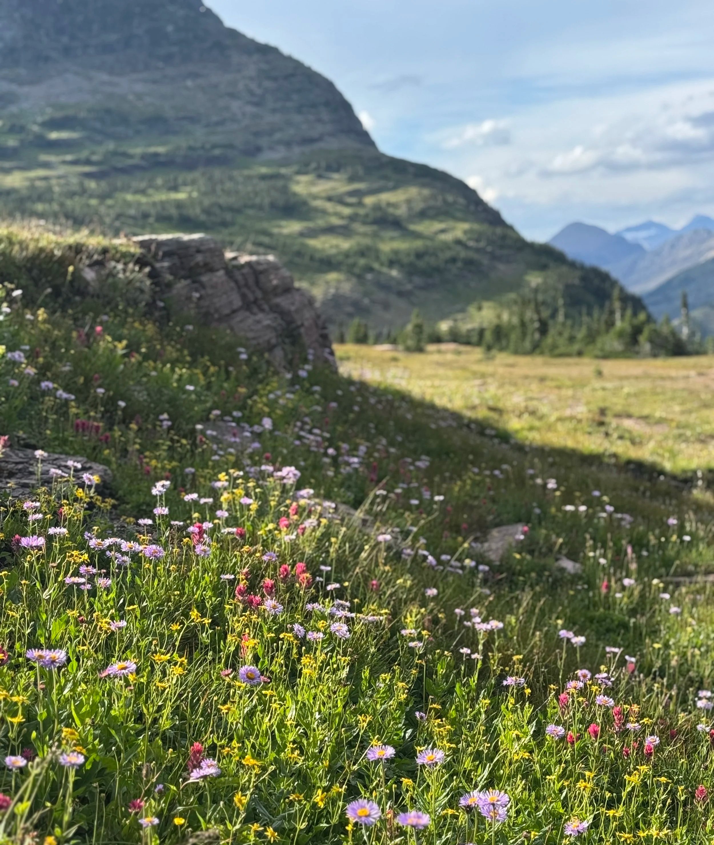 A scenic mountain landscape with wildflowers in the foreground, green fields, rocky formations, and mountains in the distance under a partly cloudy sky.