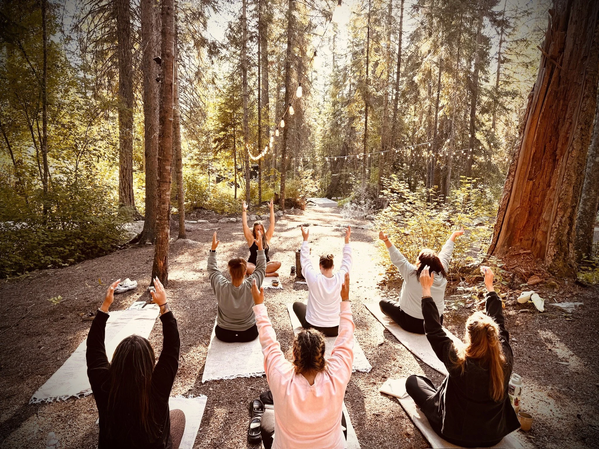 Group of people doing yoga outdoors in a forest during the daytime. They are sitting on mats with their arms raised, facing a yoga instructor.