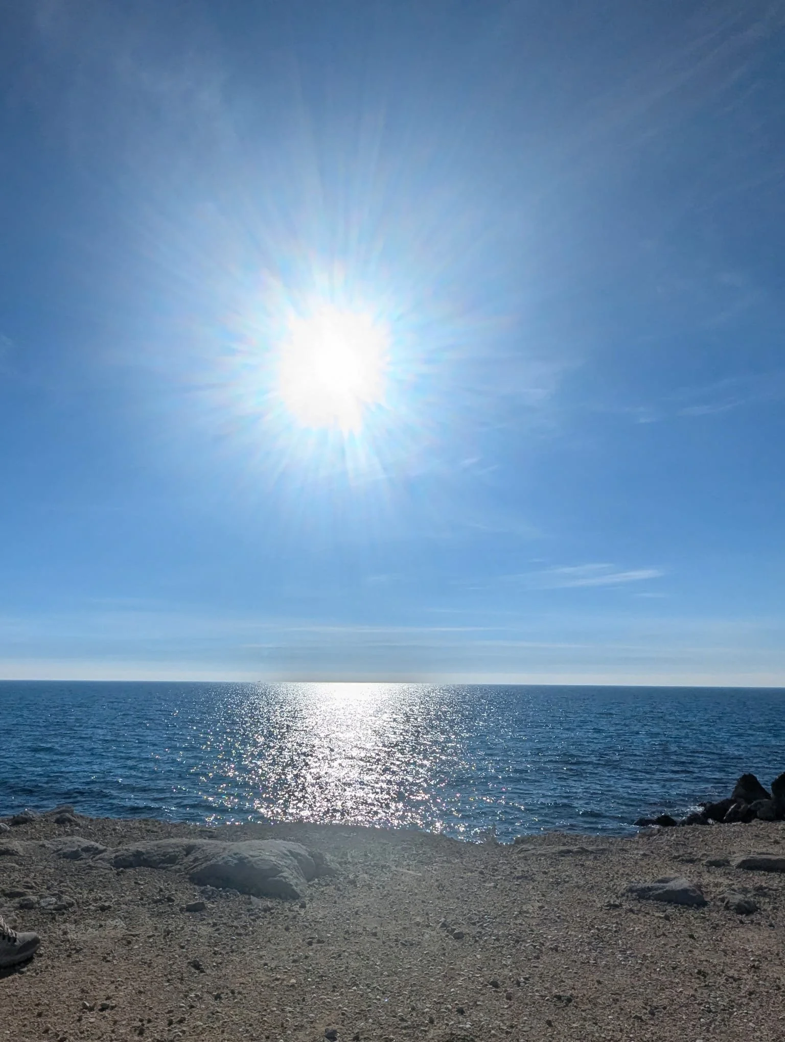 5a316cd7-4a06-4b83-8e55-10d4d32ee46aSpring has Sprung in Spain.JPG