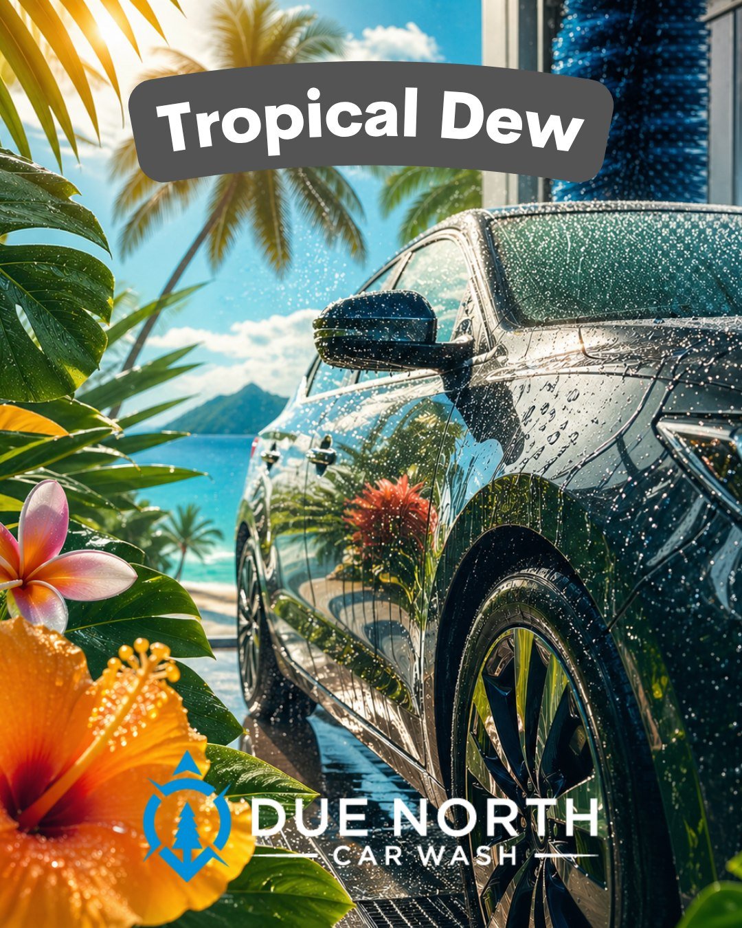 ‘Tropical Dew’ Due North’s Scent of the Month in May