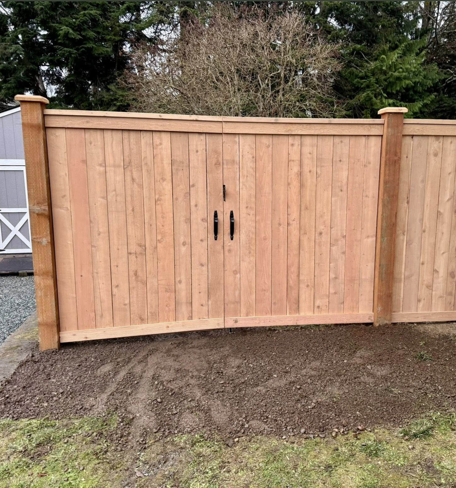 New wooden privacy fence with double doors and black handles, surrounding a yard with some grass and soil, trees in the background.