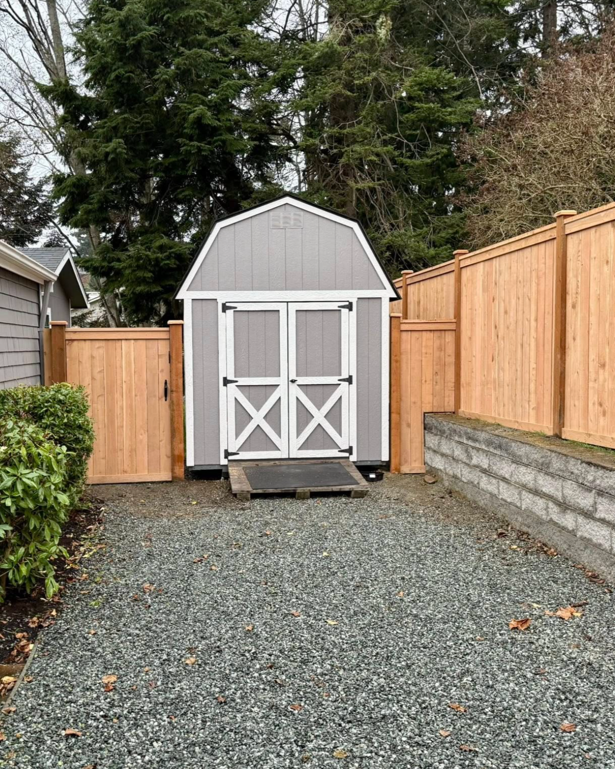 A small gray garden shed with white trim and black hinges, situated behind a wooden fence, with a gravel pathway leading to it and surrounded by a shrub and trees in the background.
