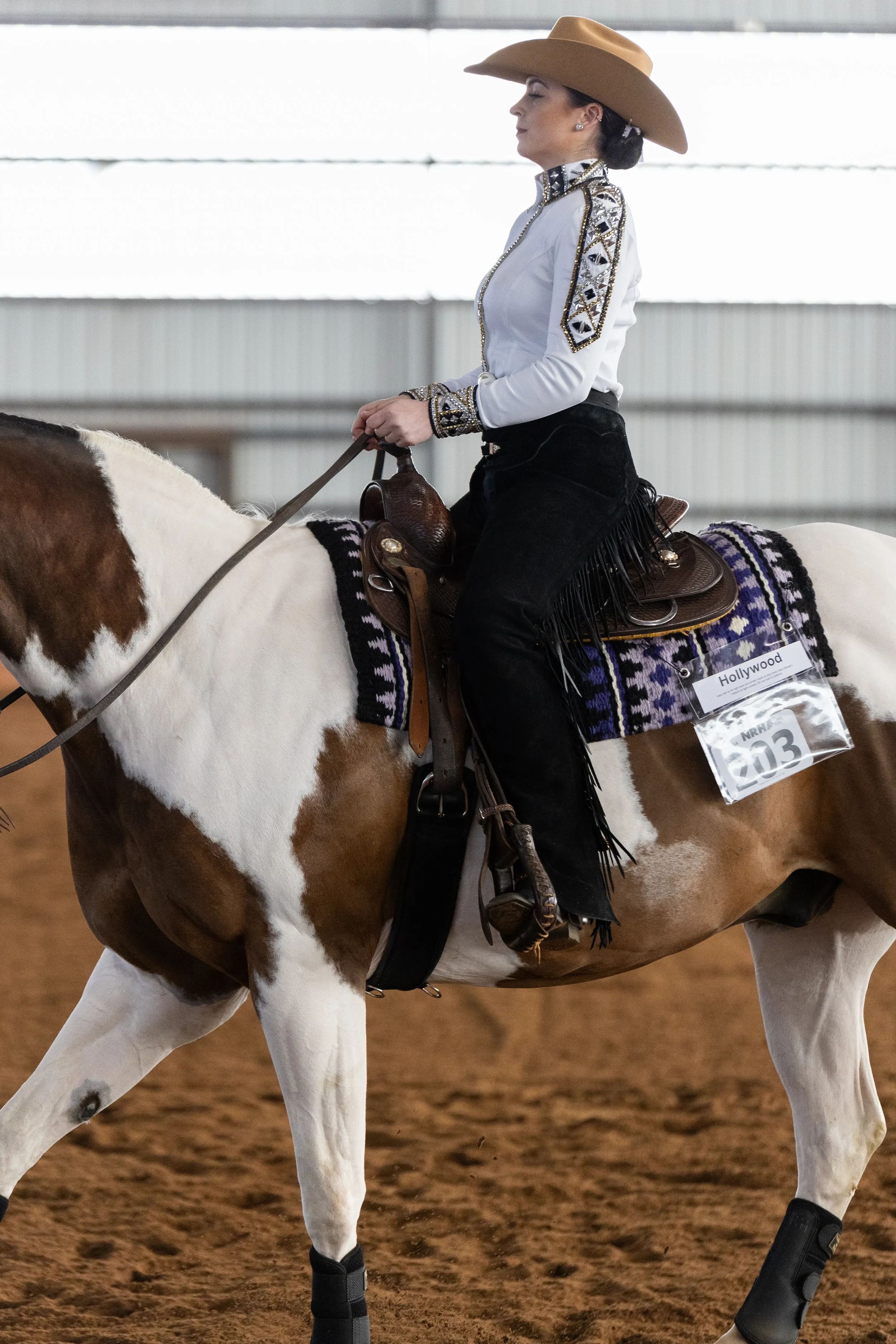 A woman wearing a cowboy hat, embellished white shirt, and black fringed chaps riding a paint horse in an indoor riding arena. The horse has a purple and white saddle blanket and a visible competition number marked 'Hollywood 203'.