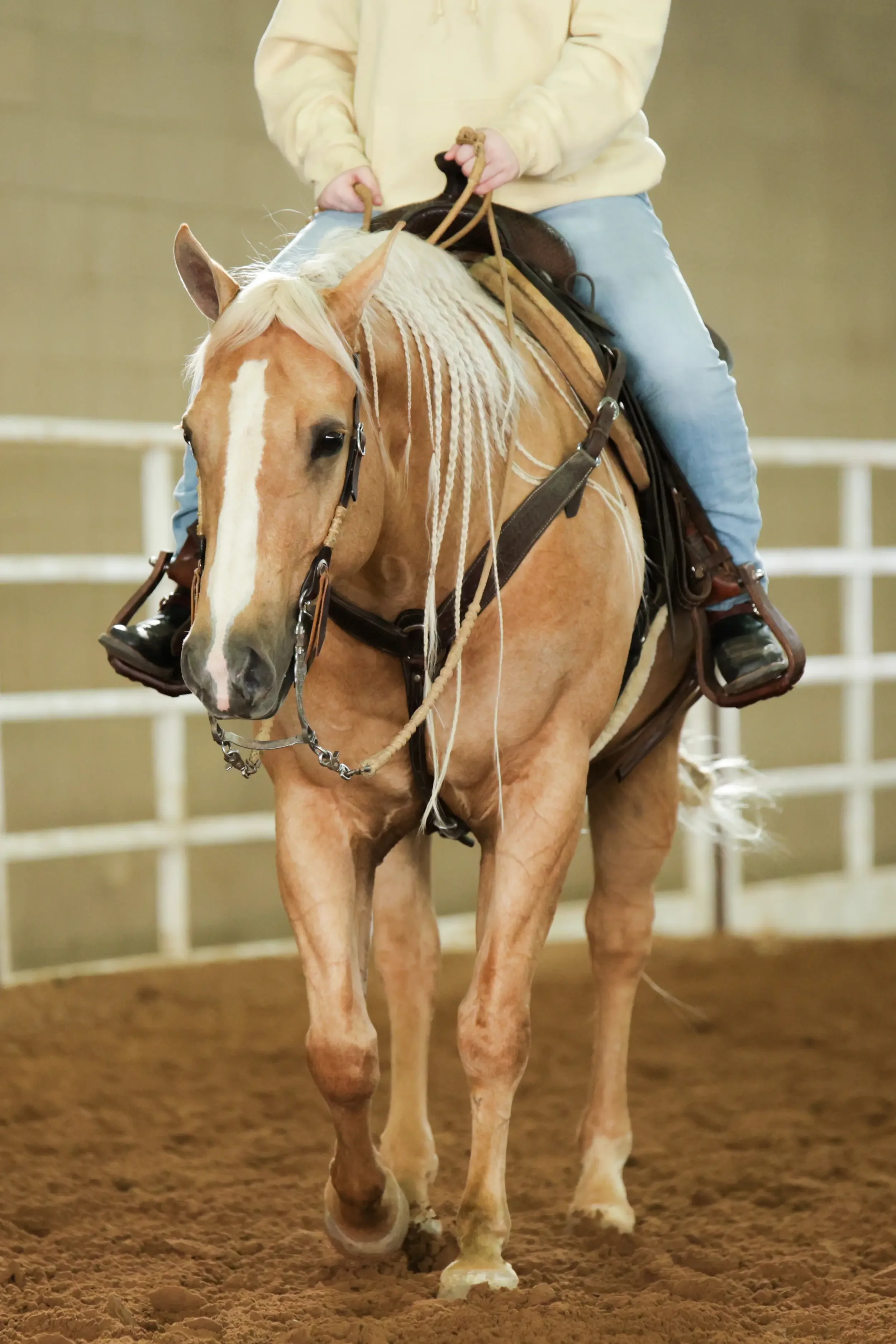 A person riding a palomino horse in an indoor arena, wearing jeans and a light-colored jacket, holding the reins. The horse is fitted with a bridle and saddle.
