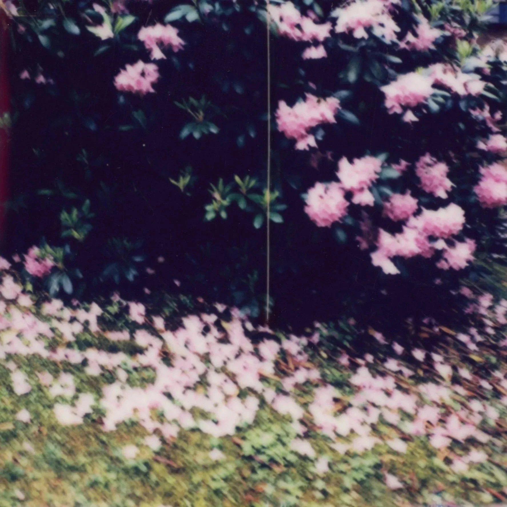 woodstock_202503.jpg
