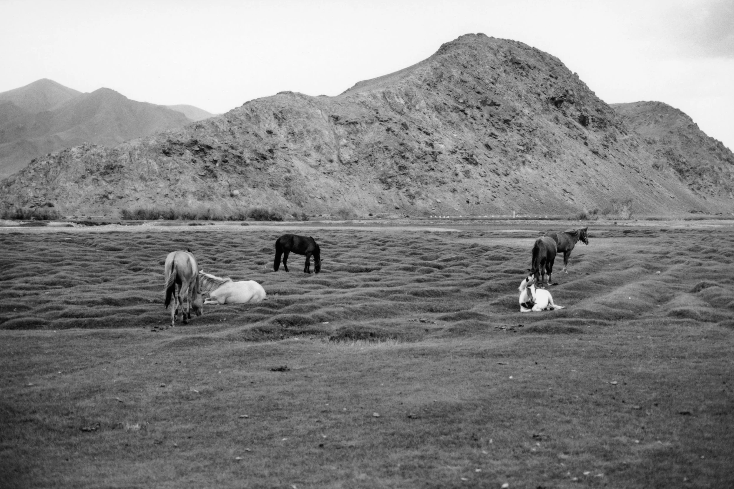 mongolia-2.jpg