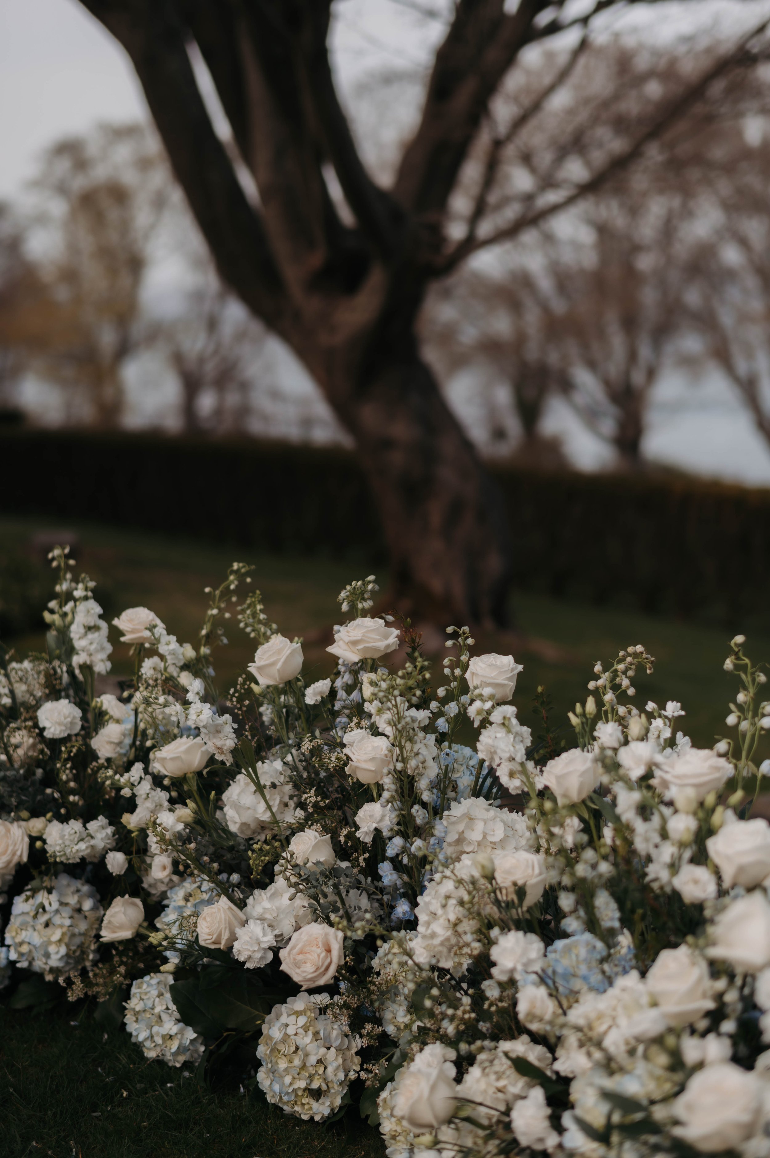 DSC_2994.jpg