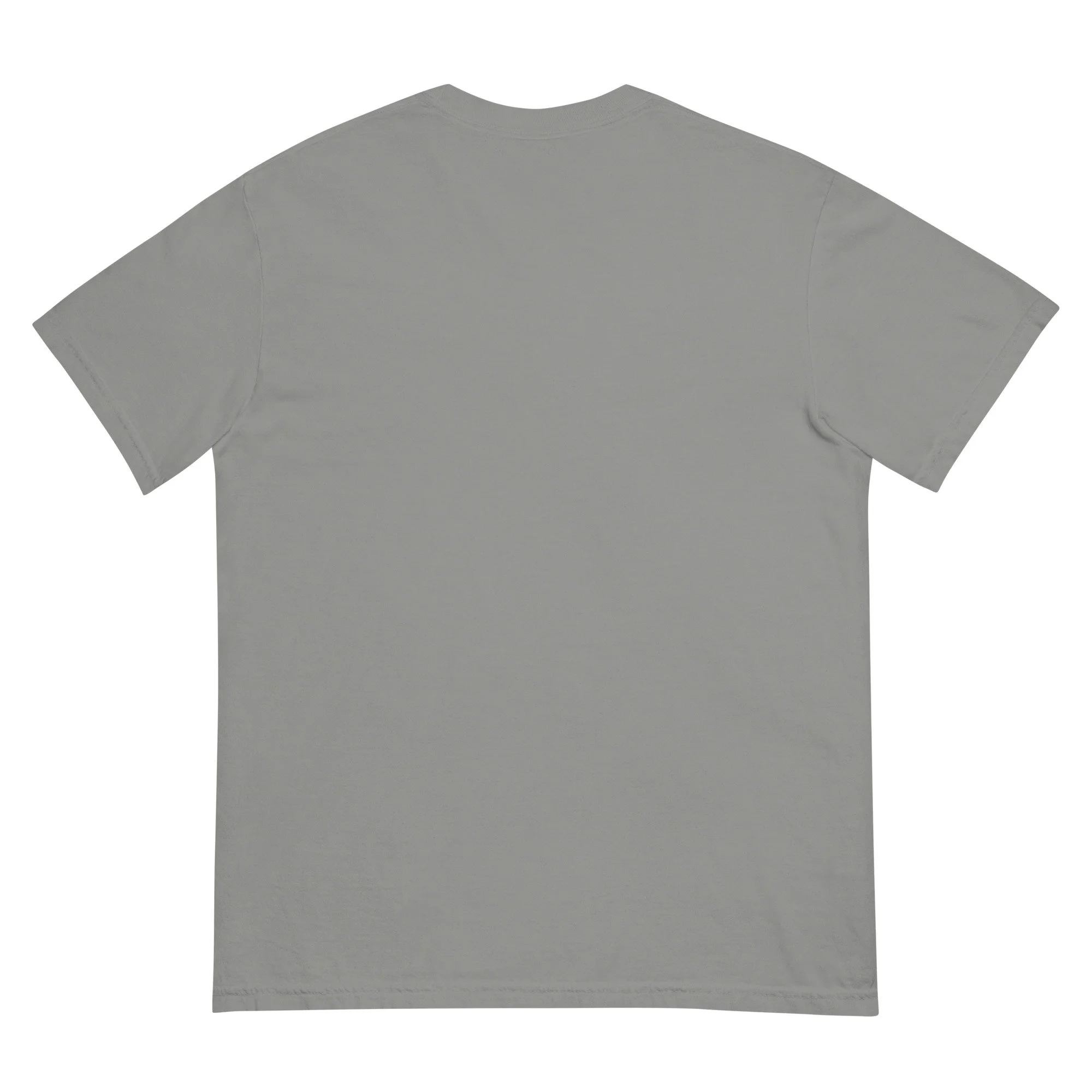 unisex-garment-dyed-heavyweight-t-shirt-grey-back-6743b287b7224.jpg