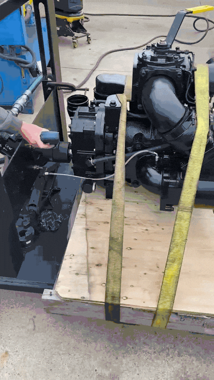 Pi7_GIF_CMP (1).gif