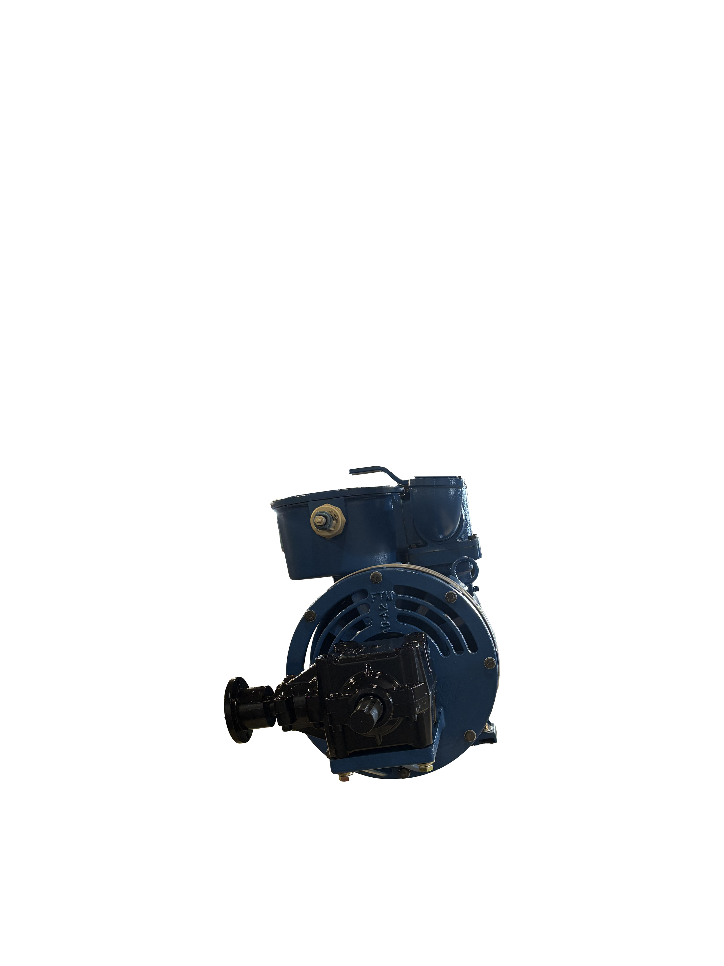IMG_3463.png