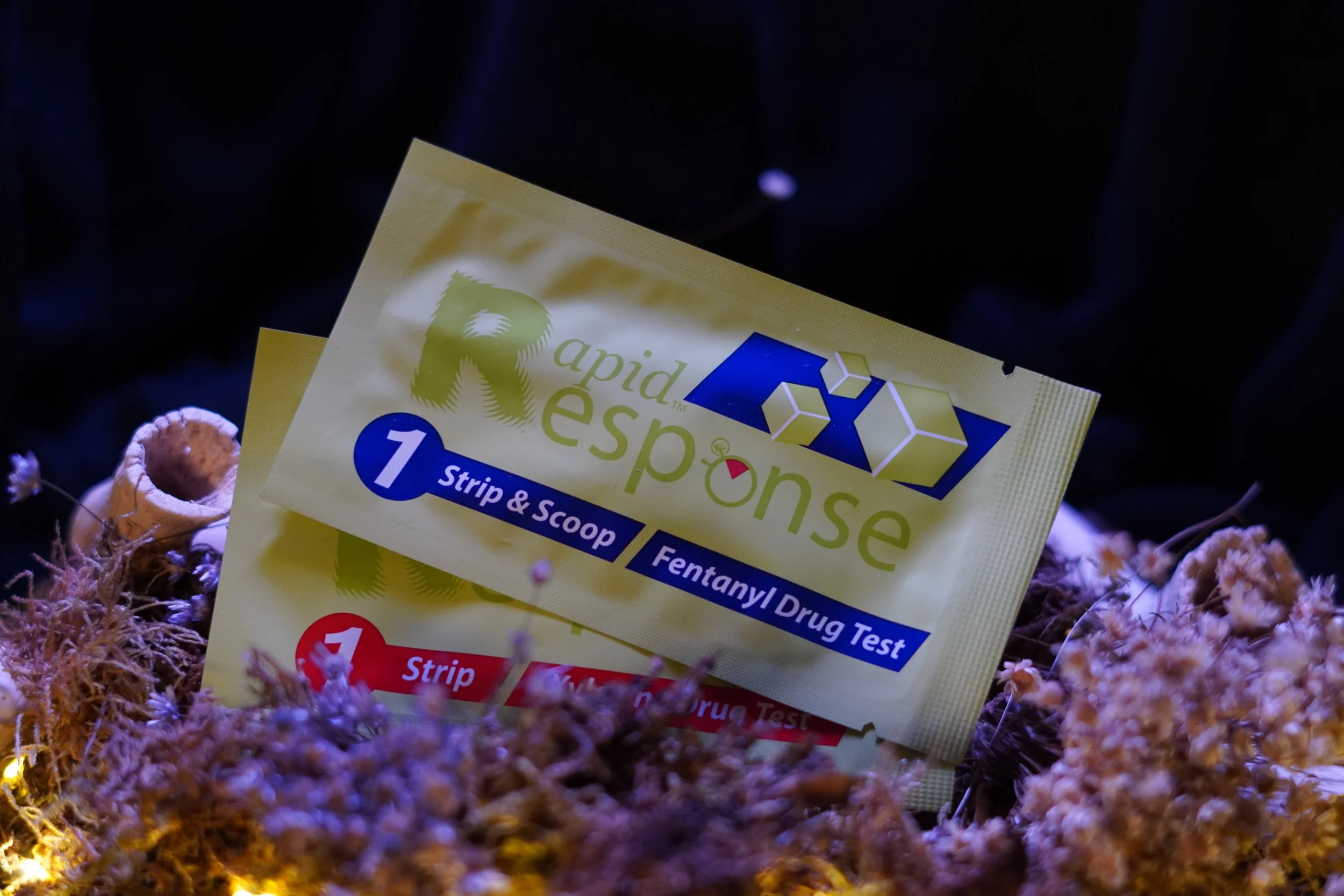 Two packages of test strips that test for fentanyl and xylazine, sitting on top of moss and flowers